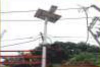 Pole-mounted cameras